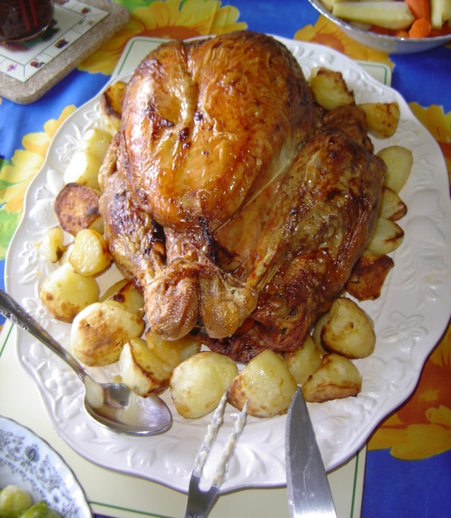 thanksgiving-turkey-1521430-639x735